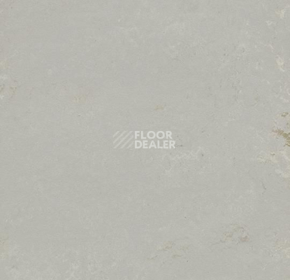 Кварцвиниловые полы Forbo Marmoleum Modular t3717 Neptune фото 1 | FLOORDEALER